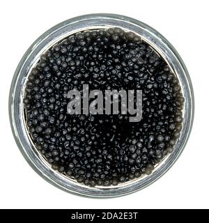 Offene Dose mit gefälschtem Kaviar, Draufsicht. Fischeier Nahaufnahme auf isoliertem weißem Hintergrund. Imitation Kaviar in einem Glas. Stockfoto