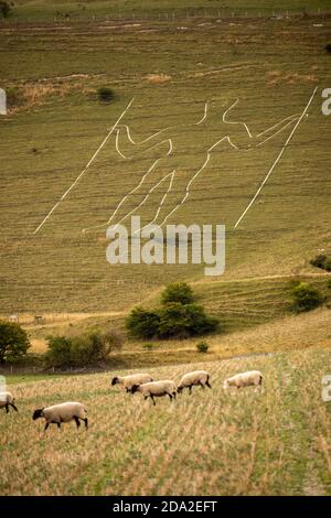 Großbritannien, England, East Sussex, Wilmington, Schafe im Feld unter Long-man-Figur am Hang Stockfoto