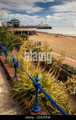 Großbritannien, England, East Sussex, Eastbourne, direkt am Meer, trockene Bedingungen Pflanzen über dem Strand in der Nähe von Bandstand Stockfoto