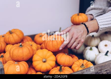 Frau wählt Kürbisse in einem Geschäft Stockfoto