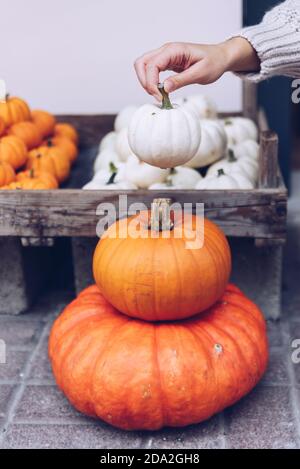 Frau wählt Kürbisse in einem Geschäft Stockfoto