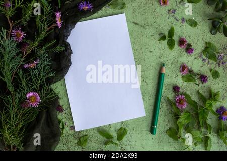 Draufsicht auf eine grüne Tischplatte mit leerem weißen Papier Und grüner Stift Stockfoto