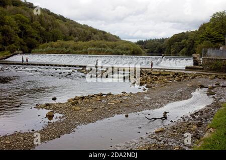 Lopwell Damm, ein Wehr am Fluss Tavy, eine Zufahrtsstraße kreuzt unter dem Damm, Devon, England, Großbritannien. Stockfoto