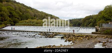 Lopwell Damm, ein Wehr am Fluss Tavy, eine Zufahrtsstraße kreuzt unter dem Damm, Devon, England, Großbritannien. Stockfoto