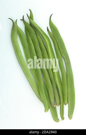 Phaseolus coccineus. Frische grüne Läuferbohnen auf weißem Hintergrund. Stockfoto