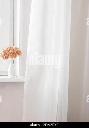 Weiße Vase mit getrockneten roten Hortensien-Blüten auf der Fensterbank und weißem Tüll. Minimal. Speicherplatz kopieren. Vorderansicht Stockfoto