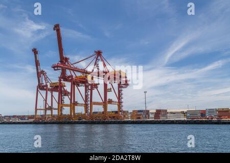 Bunte Kraniche auf dem Dock von North Fremantle vom Swan River, in der Nähe von Perth, Westaustralien Stockfoto