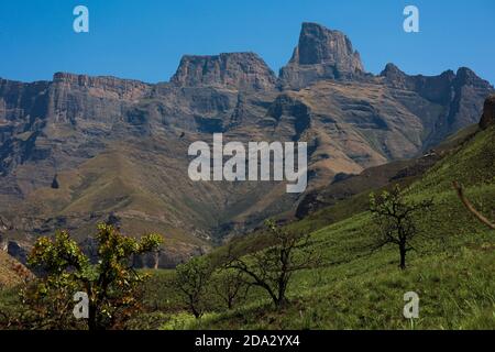 Amphitheater Mountian im Royal Natal National Park mit blauem Himmel. Stockfoto