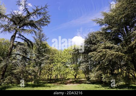 Parc de Sceaux - Ile de France - Paris Region - Frankreich Stockfoto
