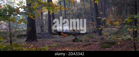 Zwei ältere Frauen und Hund ruhen im Herbstwald auf Baumstamm Stockfoto