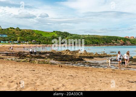 St Abbs, Großbritannien - 07. August 2020: Küstenlinie in der Nähe von St Abbs Head, Berwickshire, Scottish Borders, Schottland. Coldingham Bay Beach Stockfoto