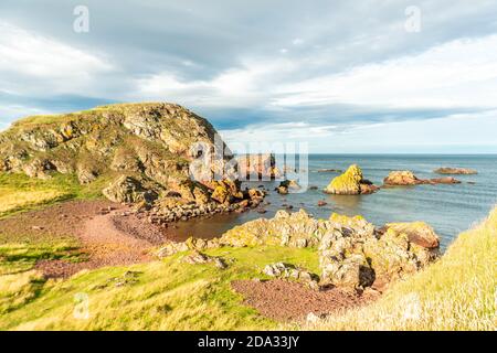 St Abbs, Großbritannien - 07. August 2020: Küstenlinie in der Nähe von St Abbs Head, Berwickshire, Scottish Borders, Schottland Stockfoto