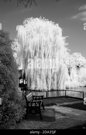 Maidenhead, Berkshire, UK., Sonntag, 09/08/2020, Infra Red, Raymill Island, General View, [Pflichtangabe: Peter Spurrier], Stockfoto