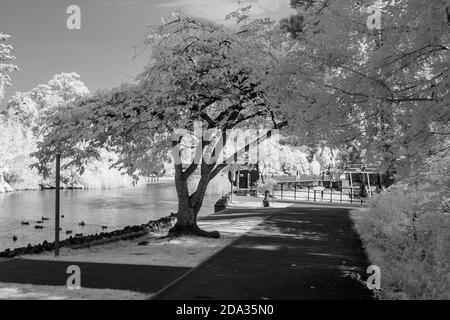 Maidenhead, Berkshire, UK., Sonntag, 09/08/2020, Infra Red, Raymill Island, General View, [Pflichtangabe: Peter Spurrier], Stockfoto