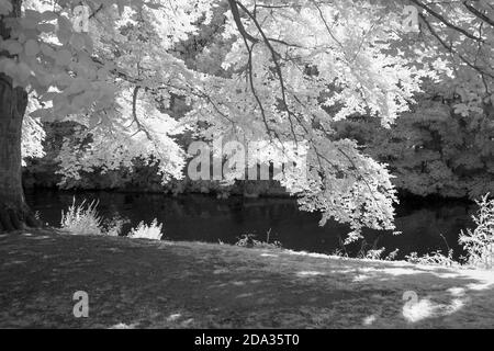 Maidenhead, Berkshire, UK., Sonntag, 09/08/2020, Infra Red, Raymill Island, General View, [Pflichtangabe: Peter Spurrier], Stockfoto