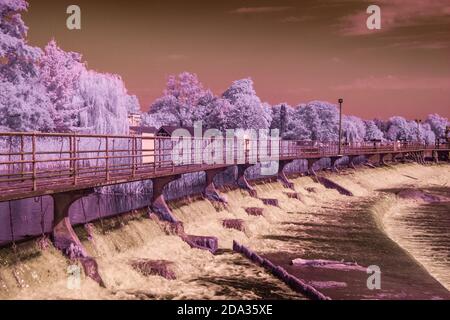 Maidenhead, Berkshire, UK., Sonntag, 09/08/2020, Infra Red, Raymill Island, mit Blick auf das Wehr, [obligatorische Gutschrift: Peter Spurrier], Stockfoto