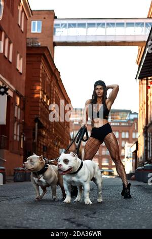 Frau mit einer athletischen Figur mit zwei Hunden amerikanischen Bully Auf den Straßen der Stadt Stockfoto