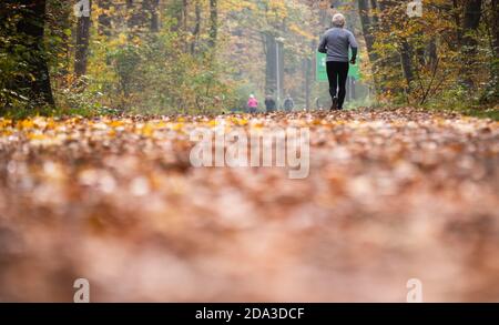 Hannover, Deutschland. November 2020. Ein Mann joggt durch den herbstlich verfärbten Stadtwald Eilenriede. Kredit: Julian Stratenschulte/dpa/Alamy Live Nachrichten Stockfoto