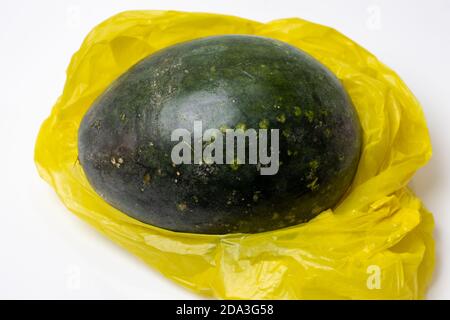 Eine ganze grüne organische Wassermelone in einem gelben Poly Tasche isoliert auf weißem Hintergrund Stockfoto