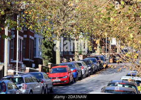 Von Bäumen gesäumte Stadtstraße voller geparkter Autos Stockfoto