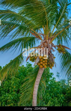 Ocean Air und Atmosphäre fügt launische Ausdrücke. Stockfoto