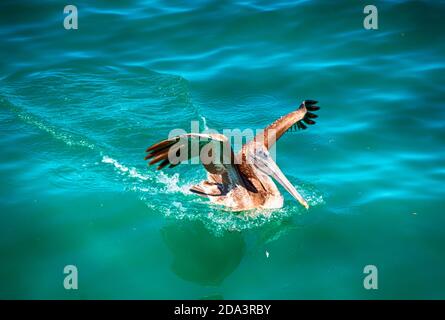 Ocean Air und Atmosphäre fügt launische Ausdrücke. Stockfoto