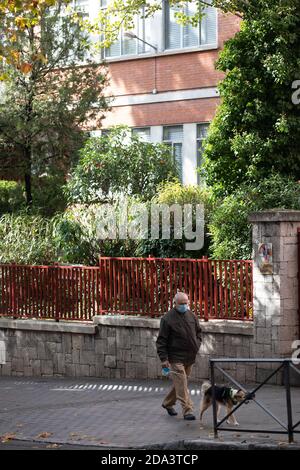 Madrid, Spanien. November 2020. Ein Mann geht mit seinem Hund auf einer Straße in Madrid, Spanien, 9. November 2020. Die Zahl der bestätigten COVID-19-Fälle weltweit hat 50 Millionen überschritten, wie die Zahlen der Weltgesundheitsorganisation (WHO) am Montag zeigten. Ein WHO-Dashboard zeigte, dass weltweit, am Montag um 10:45 Uhr MEZ (0945 GMT), insgesamt 50,030,121 bestätigte COVID-19-Fälle, darunter 1,252,072 Todesfälle, der UN-Gesundheitsbehörde gemeldet wurden. Quelle: Meng Dingbo/Xinhua/Alamy Live News Stockfoto