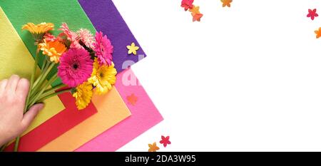 Hand hält Gerbera Gänseblümchen Blumen mit Konfetti und Filz. Isoliertes Panoramabild, Textbereich. Stockfoto
