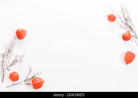 Weihnachts- oder Herbstkomposition. Thuja Zweige, Kegel im Schnee, Physalis Draufsicht, flach liegend, Kopierraum Stockfoto