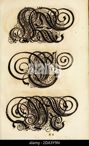Brief und Ornamente von 1655, Kalligraphie, Design, Tinte, Pinsel, Schreiben Stockfoto