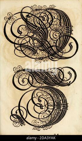 Brief und Ornamente von 1655, Kalligraphie, Design, Tinte, Pinsel, Schreiben Stockfoto