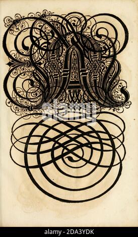 Brief und Ornamente von 1655, Kalligraphie, Design, Tinte, Pinsel, Schreiben Stockfoto