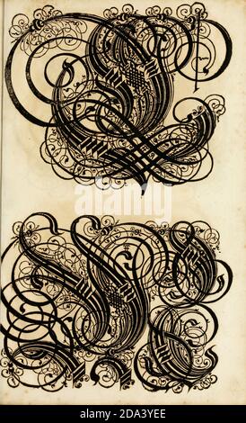 Brief und Ornamente von 1655, Kalligraphie, Design, Tinte, Pinsel, Schreiben Stockfoto