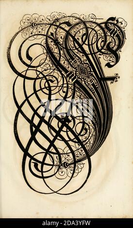 Brief und Ornamente von 1655, Kalligraphie, Design, Tinte, Pinsel, Schreiben Stockfoto