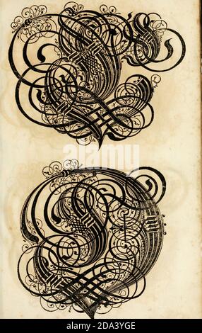 Brief und Ornamente von 1655, Kalligraphie, Design, Tinte, Pinsel, Schreiben Stockfoto