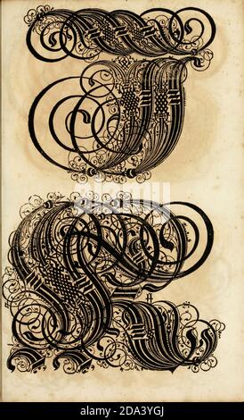 Brief und Ornamente von 1655, Kalligraphie, Design, Tinte, Pinsel, Schreiben Stockfoto