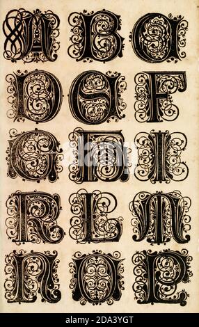 Brief und Ornamente von 1655, Kalligraphie, Design, Tinte, Pinsel, Schreiben Stockfoto