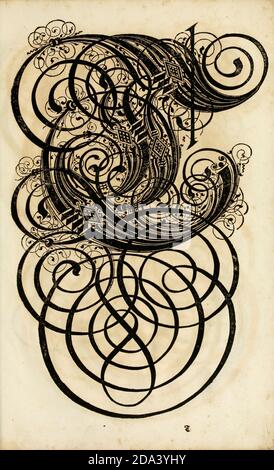 Brief und Ornamente von 1655, Kalligraphie, Design, Tinte, Pinsel, Schreiben Stockfoto