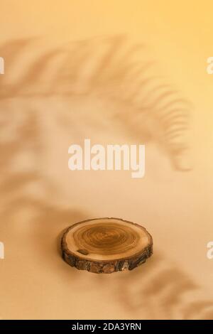 Runde Holzsäge geschnitten Zylinderform mit Schatten Farnblätter auf beigem Hintergrund. Geometrisches Podium. Leere Vitrine für Öko-Kosmetik-Präsentation. Stockfoto