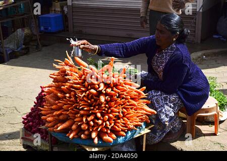 Ooty, Tamil Nadu, Indien - Januar, 2017: Frau verkauft frische Karotten auf dem Straßenmarkt Stockfoto