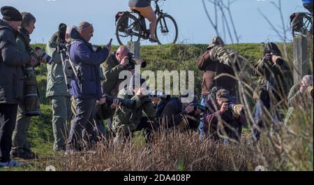 Eine große Gruppe von Wildtierfotografen, die auf EINEM Saltmarsh ein Foto eines seltenen Tieres oder Vogels machen, Keyhaven UK Stockfoto