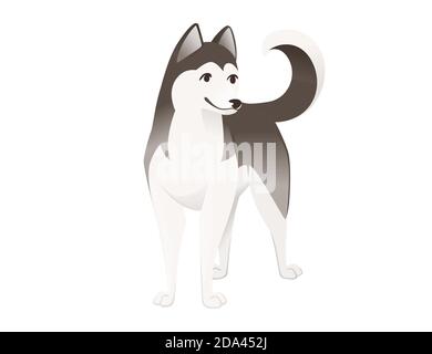 Niedlichen Haushund Siberian Husky reinrassig Cartoon Tier Design flach vektorgrafik Stock Vektor