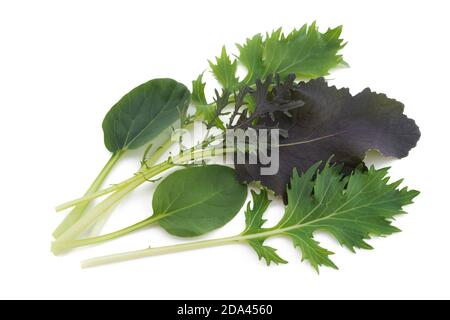 Asiatischer Salat mix auf weißem Hintergrund Stockfoto