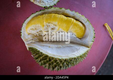 Geschlossene Aufnahme des Musang King Durian, auch bekannt unter seinem ursprünglichen Namen Raja Kunyit, hat tiefgelbes Fleisch, breite und stumpfe Spitzen, eine Lücke zwischen Th Stockfoto