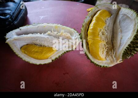 Geschlossene Aufnahme des Musang King Durian, auch bekannt unter seinem ursprünglichen Namen Raja Kunyit, hat tiefgelbes Fleisch, breite und stumpfe Spitzen, eine Lücke zwischen Th Stockfoto