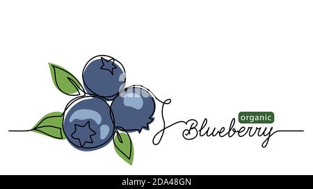 Blueberry Vektorgrafik. Eine Linie Zeichnung Kunst Illustration mit Schriftzug Bio Heidelbeere Stock Vektor