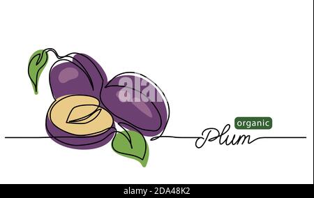 Vektorgrafik „Pflaume“. Eine Linie Zeichnung Kunst Illustration mit Schriftzug organische Pflaume Stock Vektor