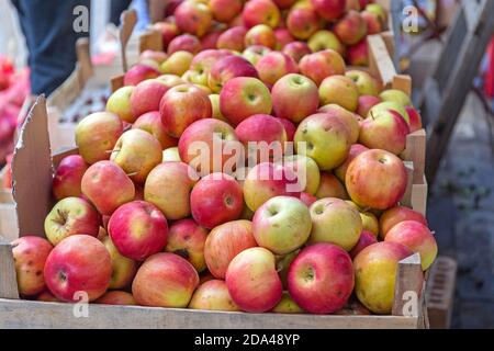 Bio-Äpfel in Kisten auf dem Bauernmarkt Stockfoto