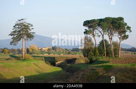 Panoramablick auf die Ebene entlang des Canale della Chiana In der Nähe von Arezzo Stockfoto