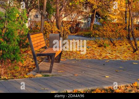 Robuste moderne urbane Straßenholzmöbel. Leere Holzbank und Urne auf hellem Herbstlaub Hintergrund im öffentlichen Park. Blatt fallen in der Stadt. Stockfoto